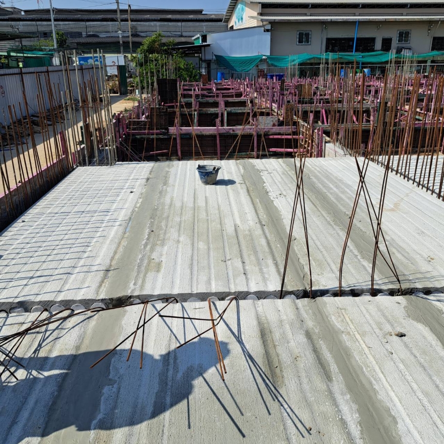 project